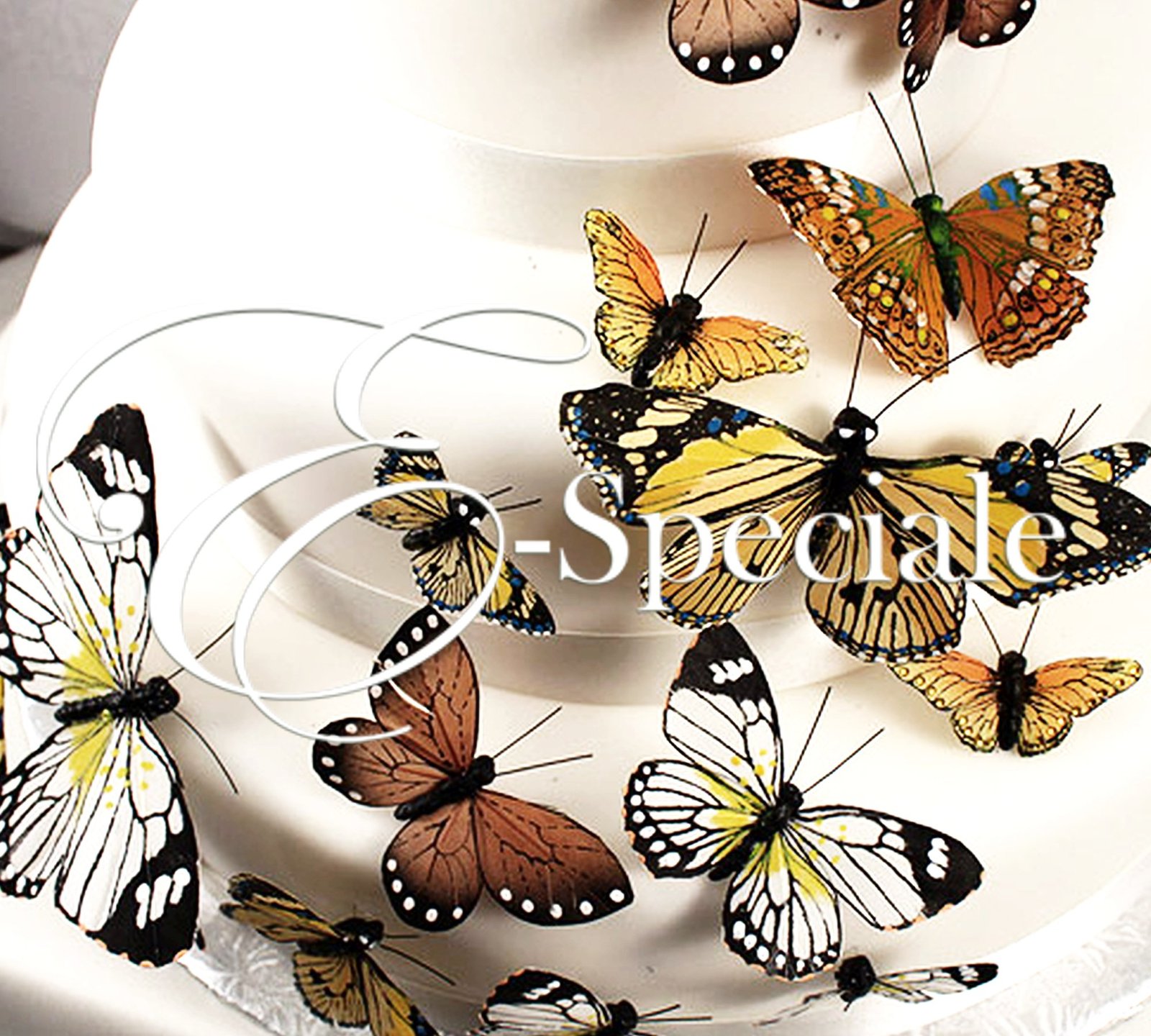Farfalle Decorative (24pz)