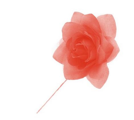 Rosa Decorativa 