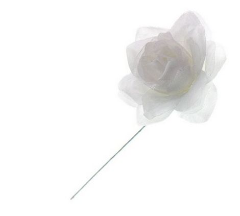 Rosa Decorativa <p> <span style="font-size:24px;">Purezza Abbagliante</span></p><p> Luminoso ed immacolato, simbolo di candore e semplicit&agrave;.</p><p> Il Bianco si abbina a tutti i colori.</p>
