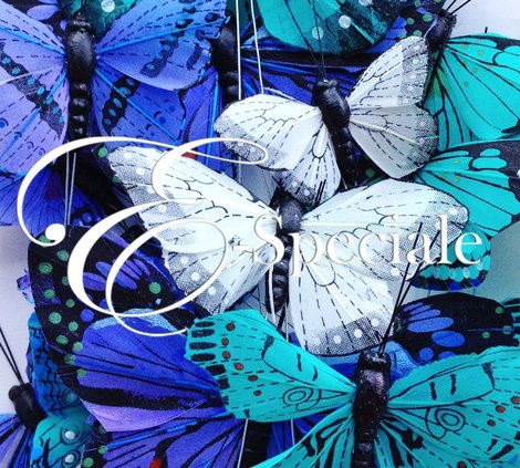 Farfalle Decorative (24pz) <h1>Eleganza vivace</h1><p>Profondo e gioviale, con la serenit&agrave; del blu e l&#39;armonia del verde.</p><p>Il colore Turchese, si abbina molto bene al Bianco ma anche al Marrone ed al Blu.</p>